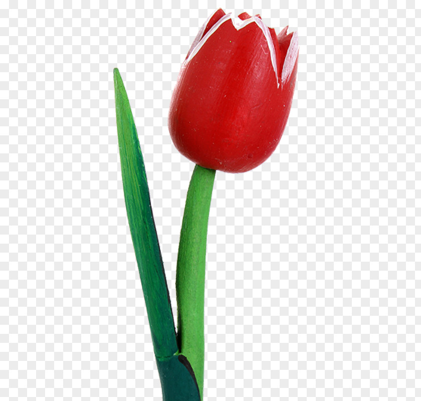 Wooden Product Tulip Petal Plant Stem Close-up PNG