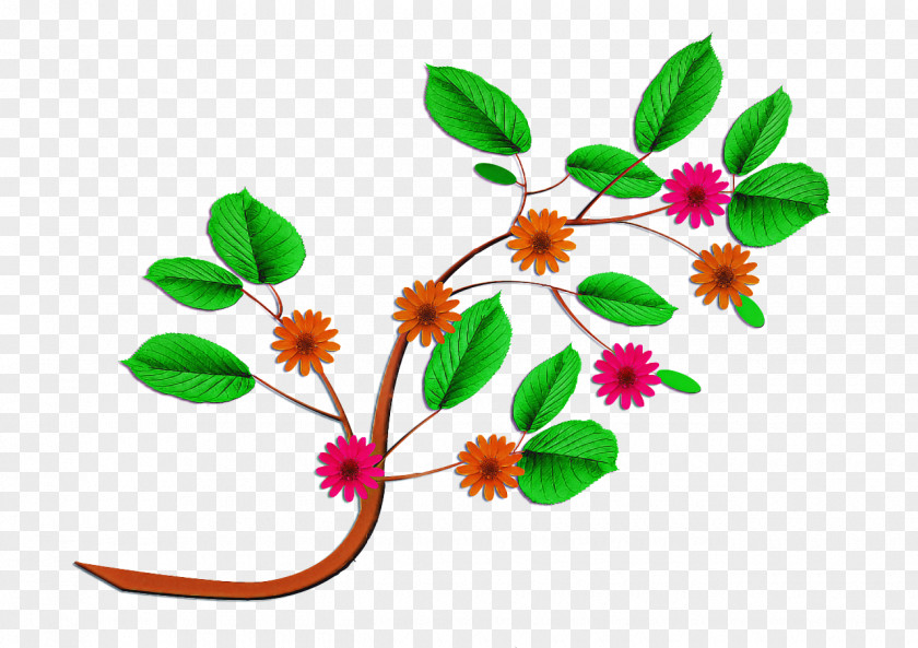 Flower Leaf Plant Branch Stem PNG