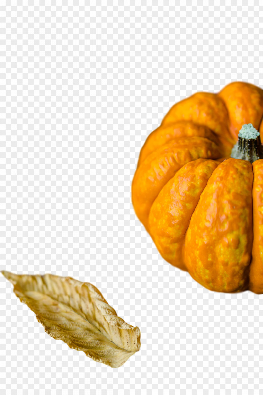 Pumpkin PNG