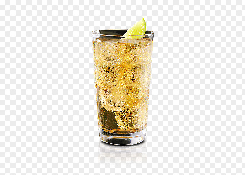 Cocktail Highball Glass Brandy Gin And Tonic PNG