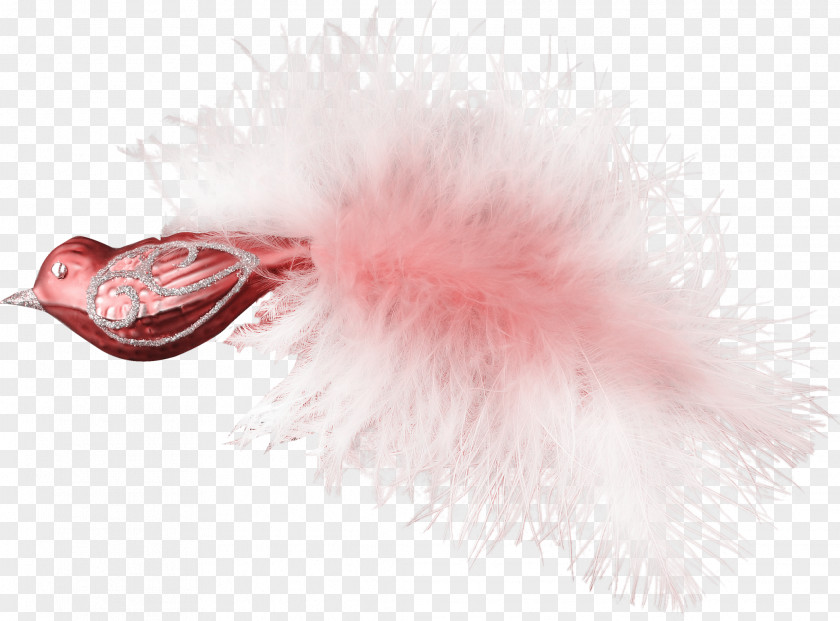 Feather Pink M PNG