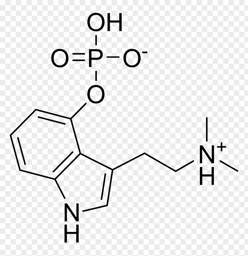 Molecular Structure Background Indolamines N,N-Dimethyltryptamine Psilocybin 5-MeO-DMT Psychedelic Drug PNG