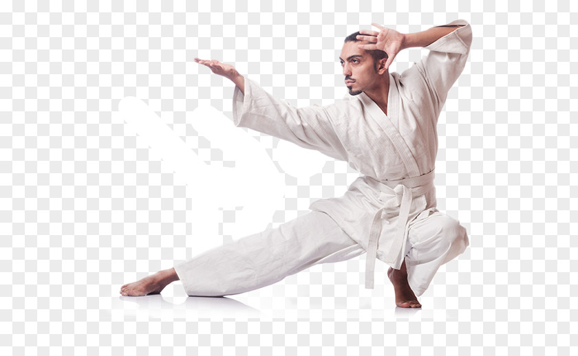 Karate Shinjimasu International Martial Arts Taekwondo Mixed PNG