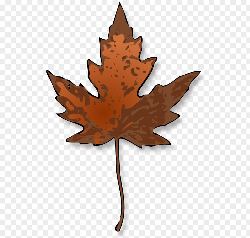 Maple Clipart Autumn Leaf Color Clip Art PNG