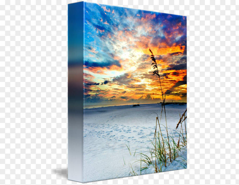 Sandy Beach Shore Picture Frames Gallery Wrap Sea Energy PNG