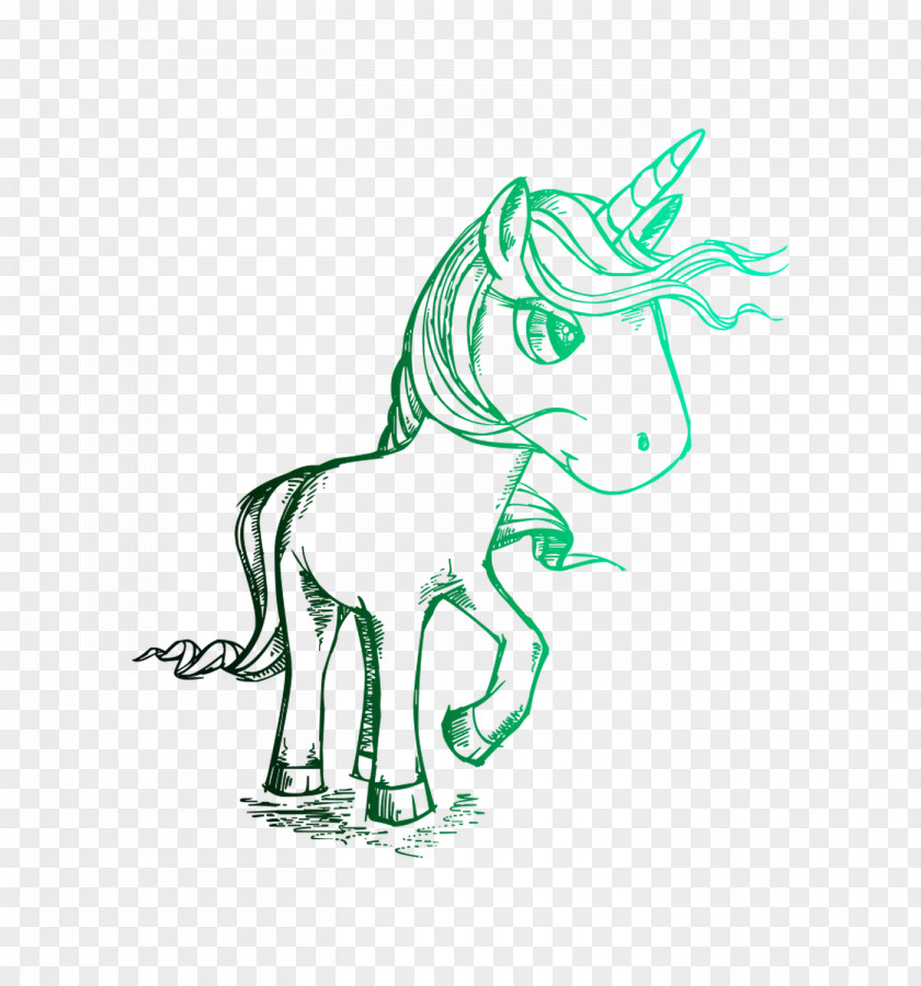 Sketch Unicorn Drawing Illustration Pony PNG