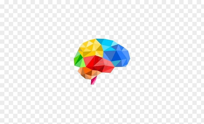 Creative Brain 3D Computer Graphics Polygon Illustration PNG