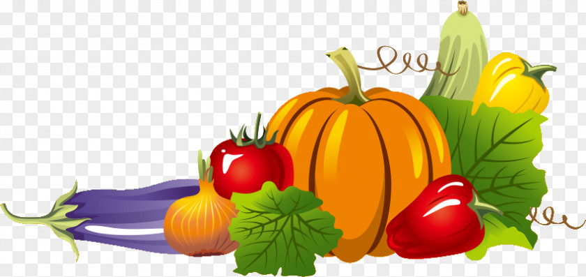 Fall Season Fruit Flip And Match Vegetables PNG