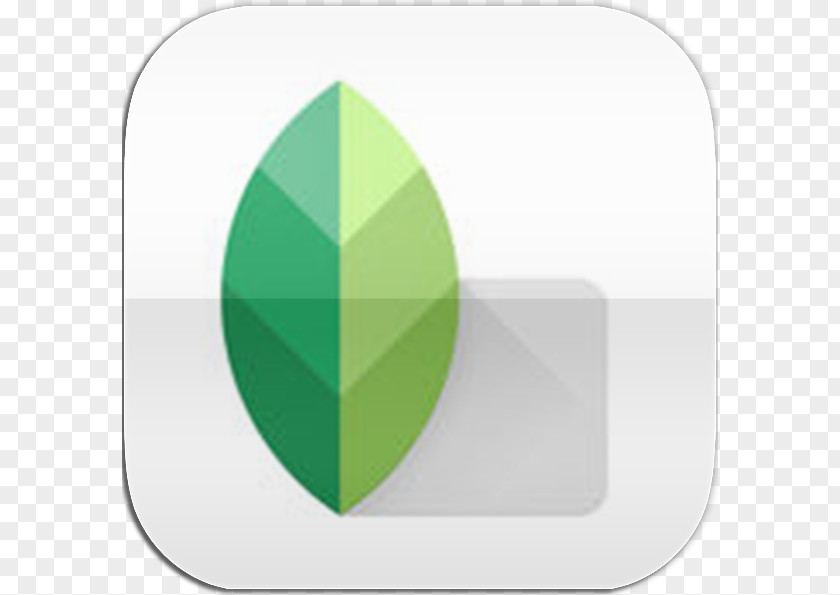 Leaf Green Brand PNG