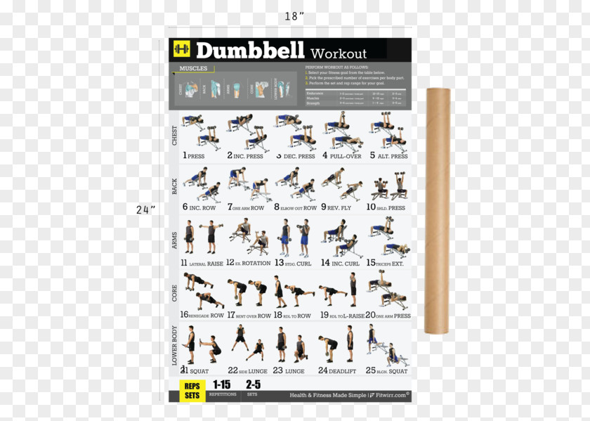 Man Exercise Dumbbell Weight Training Bodyweight Fitness Centre PNG