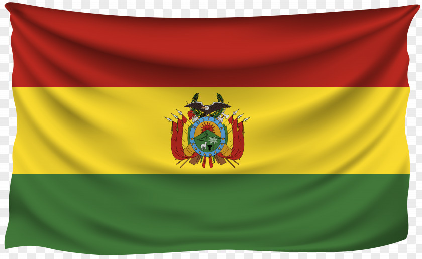 Pakistan Flag Of Bolivia Flags The World Gallery Sovereign State PNG