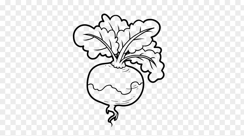 Vegetable Vegetarian Cuisine Turnip Drawing Coloring Book PNG