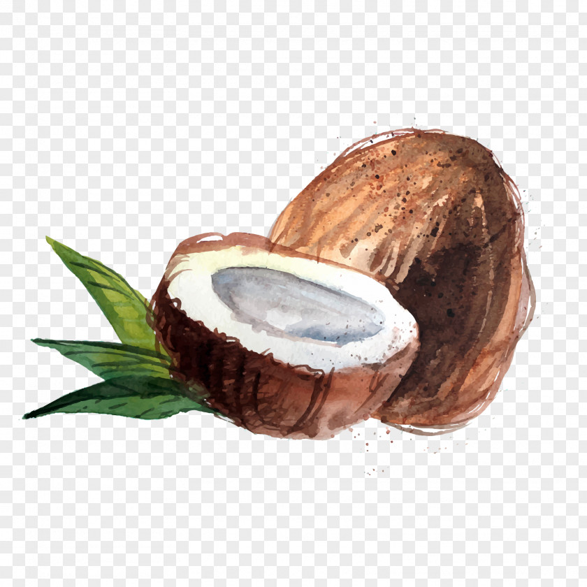 Watercolor Coconut Water Raw Foodism Organic Food Oil PNG