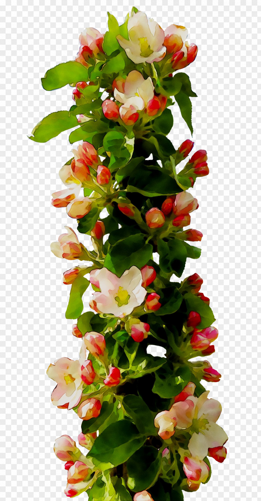 Floral Design Flower Bouquet Image Photograph PNG