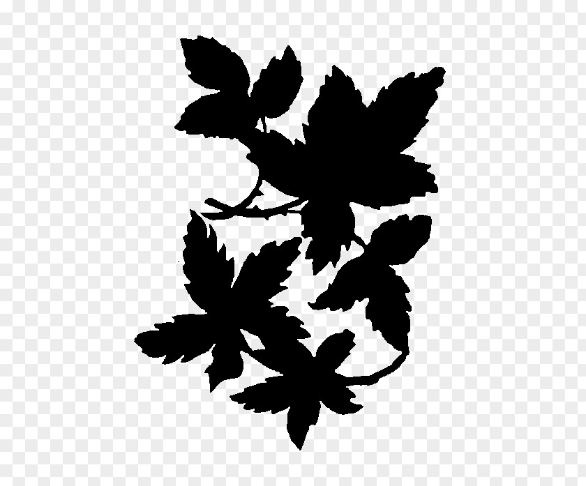 Flower Pattern Font Silhouette Leaf PNG