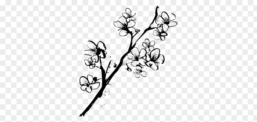 Flower Sketch Drawing Cherry Blossom PNG
