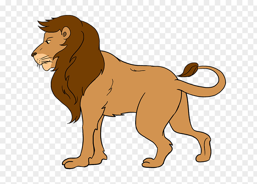Lion Drawing Child Art Coloring Book PNG