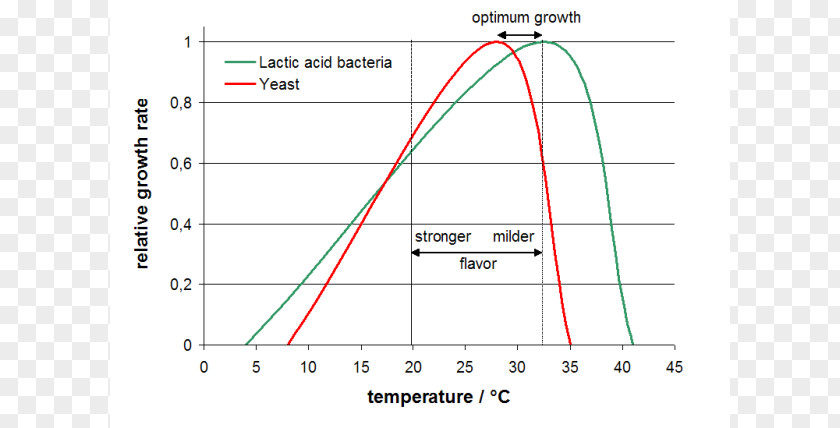 Rate Of Progress Brewer's Yeast Bacterial Growth Fermentation PNG