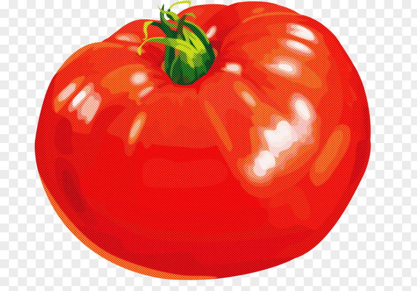 Tomato Solanum PNG