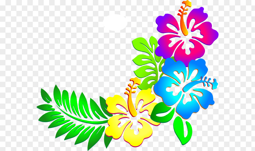 Floral Design Herbaceous Plant Flower Background PNG