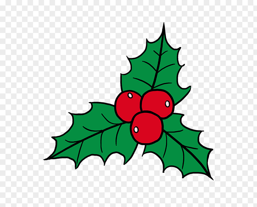 Cartoon Christmas Holly Clip Art Drawing Image Common Day PNG