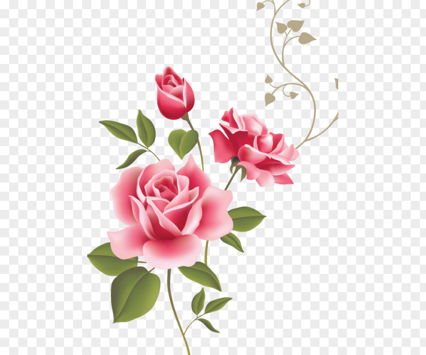Rose Clip Art Openclipart Vector Graphics Flower PNG