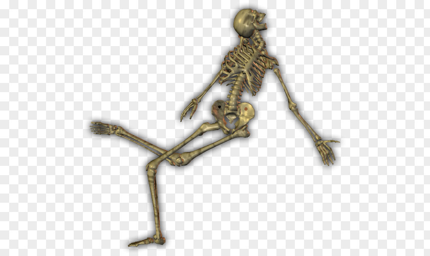 Skeleton Human Bone Fantasy Map PNG