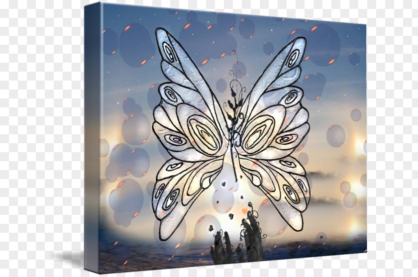 Butterfly Galaxy Symmetry Butterflies And Moths Post Cards PNG