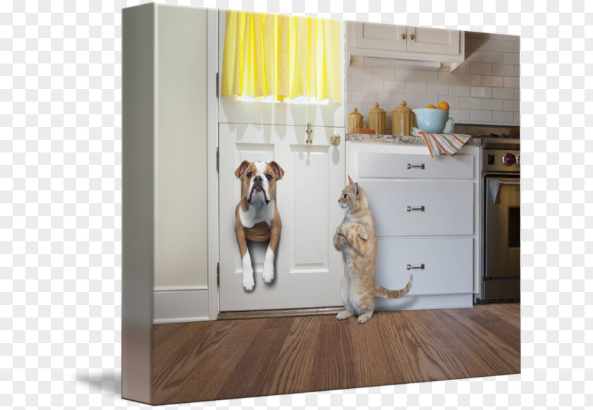 Cat Bulldog Pet Door Interior Design Services PNG