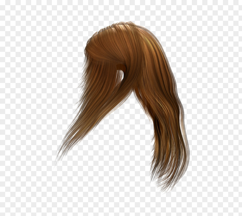 Flowing Hair Capelli Icon PNG
