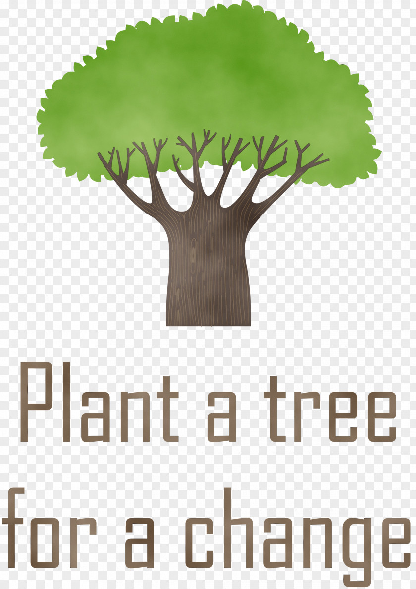 Leaf Logo Font Meter Tree PNG
