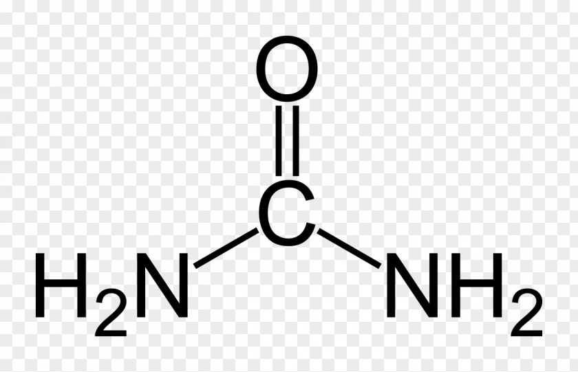 Science Urea Chemistry Molecule Chemical Compound Atom PNG
