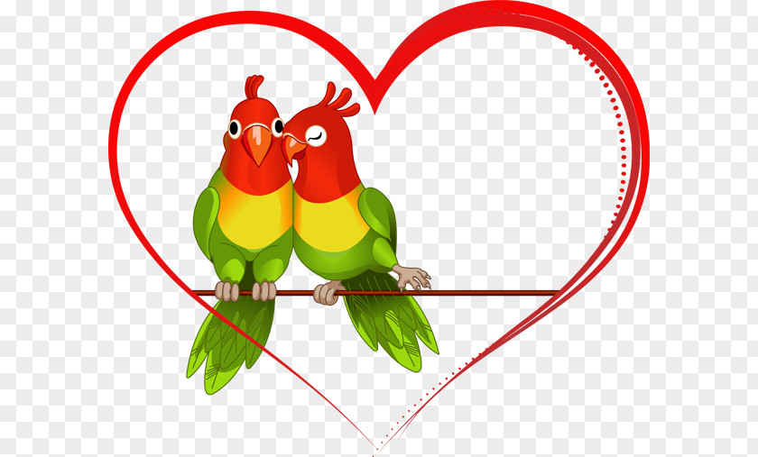 Wedding Heart Transparent Background Lovebird Clip Art PNG