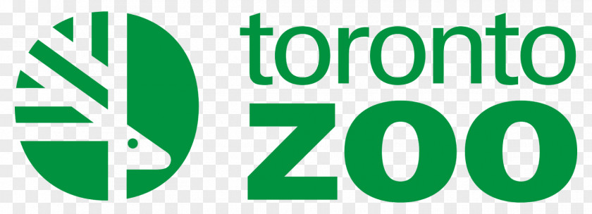Zoo Toronto Giant Panda Canada's Accredited Zoos And Aquariums Oasis Run 2018 PNG