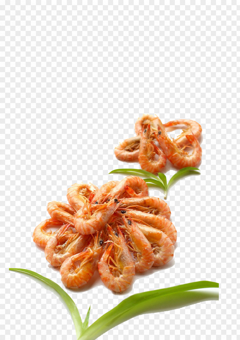 Barbecue Spicy Shrimp Caridea Roasting PNG