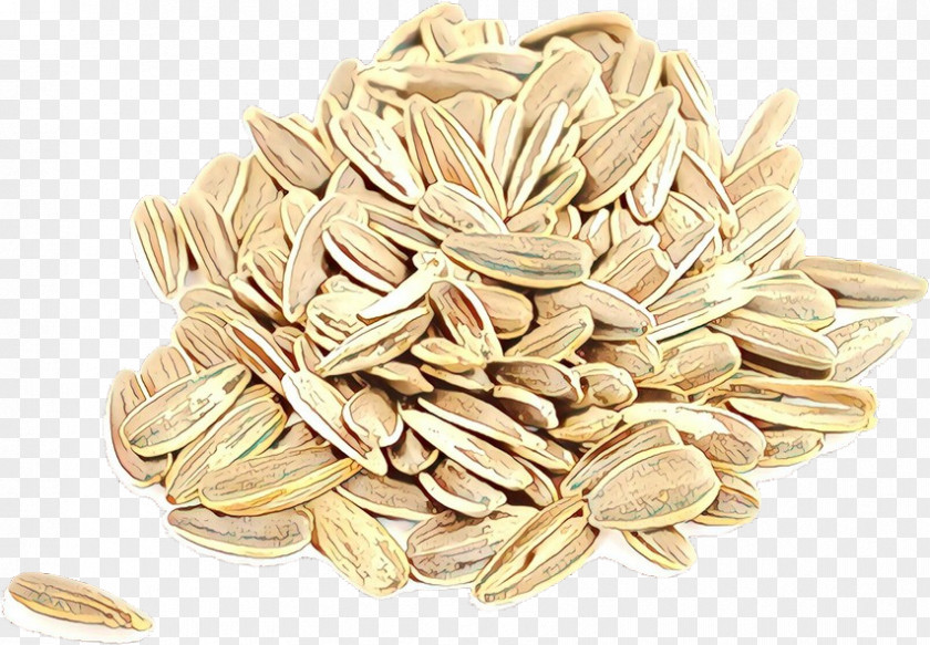Food Sunflower Seed Plant Ingredient PNG