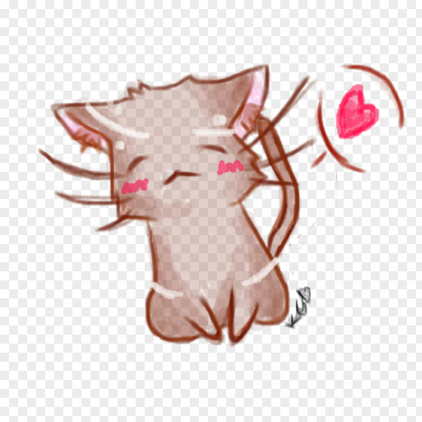 Kitten Cat Pig Cuteness PNG