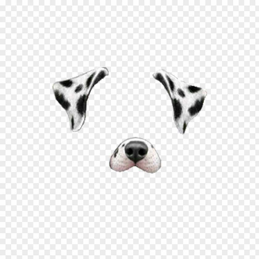 Snapchat Dalmatian Dog Miniature Schnauzer Clip Art PNG