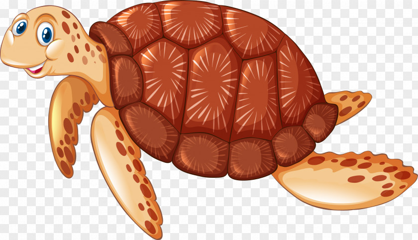 Turtle Vector Sea Illustration PNG