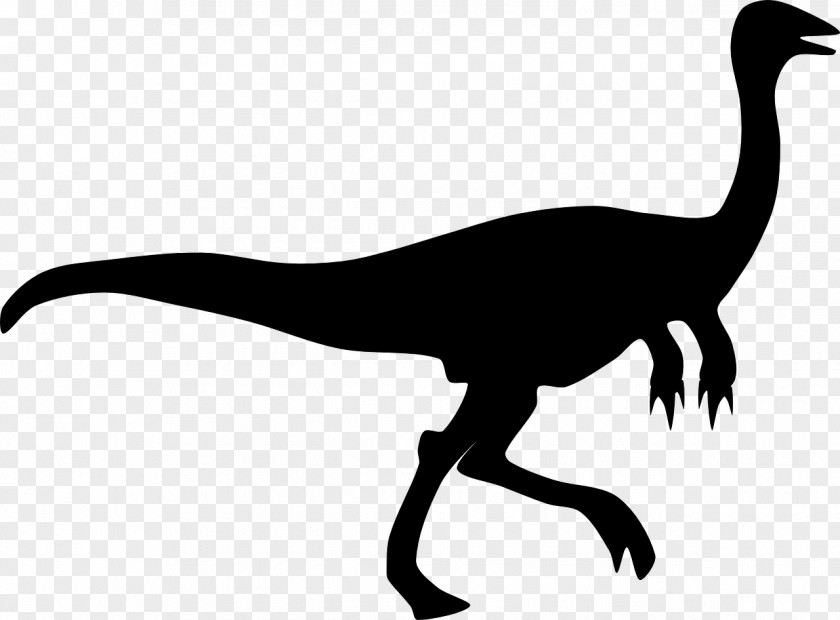 Dinosaur Velociraptor Tyrannosaurus Gallimimus PNG