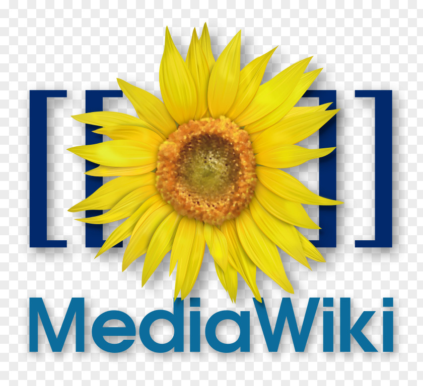 MediaWiki Wikimedia Foundation Computer Software Wikipedia PNG