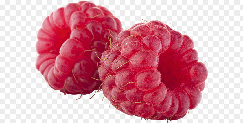 Raspberry Fruit Coulis Ripening PNG