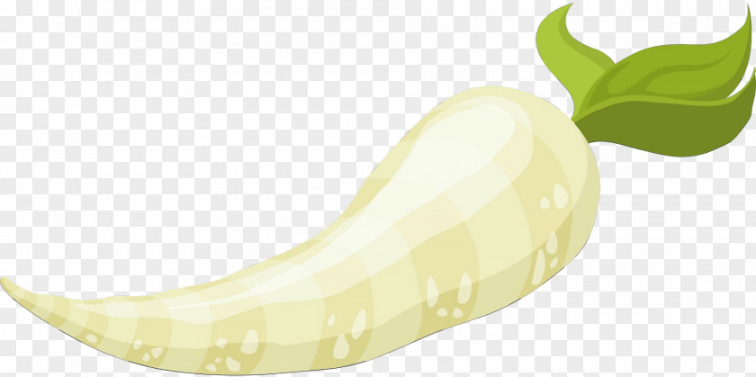 Superfood Vegan Nutrition Banana PNG