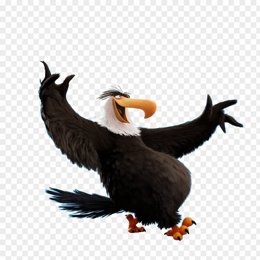 Angry Birds Epic Mighty Eagle YouTube Evolution Film PNG