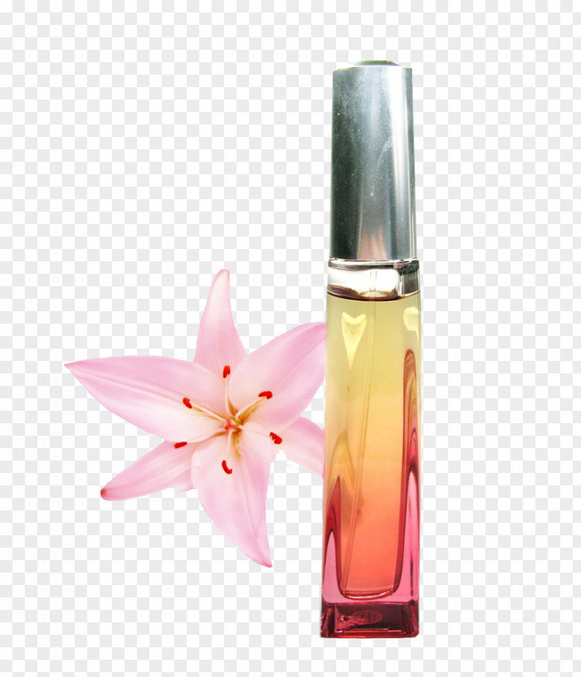 Perfume Cosmetics Toner Make-up PNG
