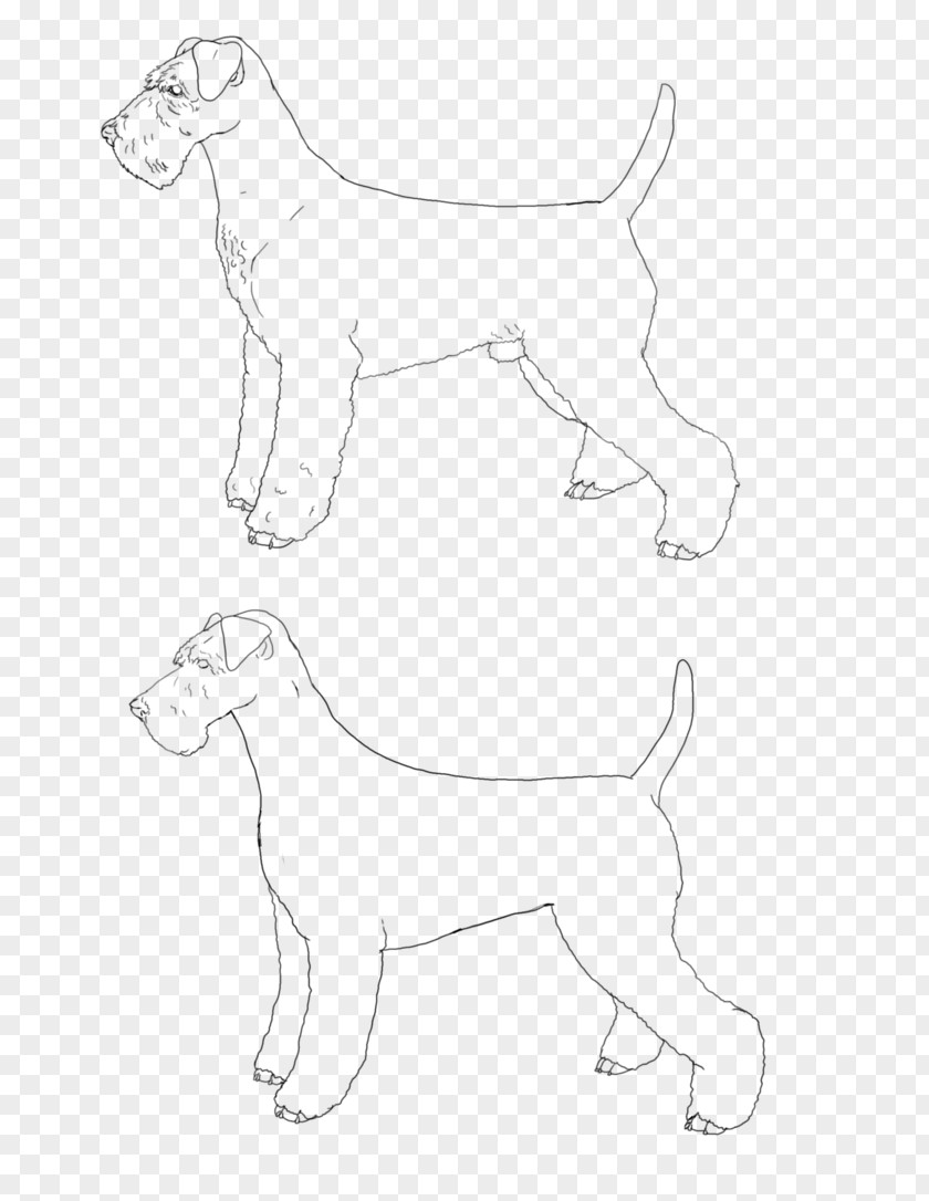 Airedale Terrier Dog Breed Puppy Line Art Sketch PNG