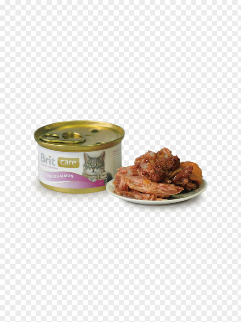 Cat Food Kitten Canning Canned Fish PNG