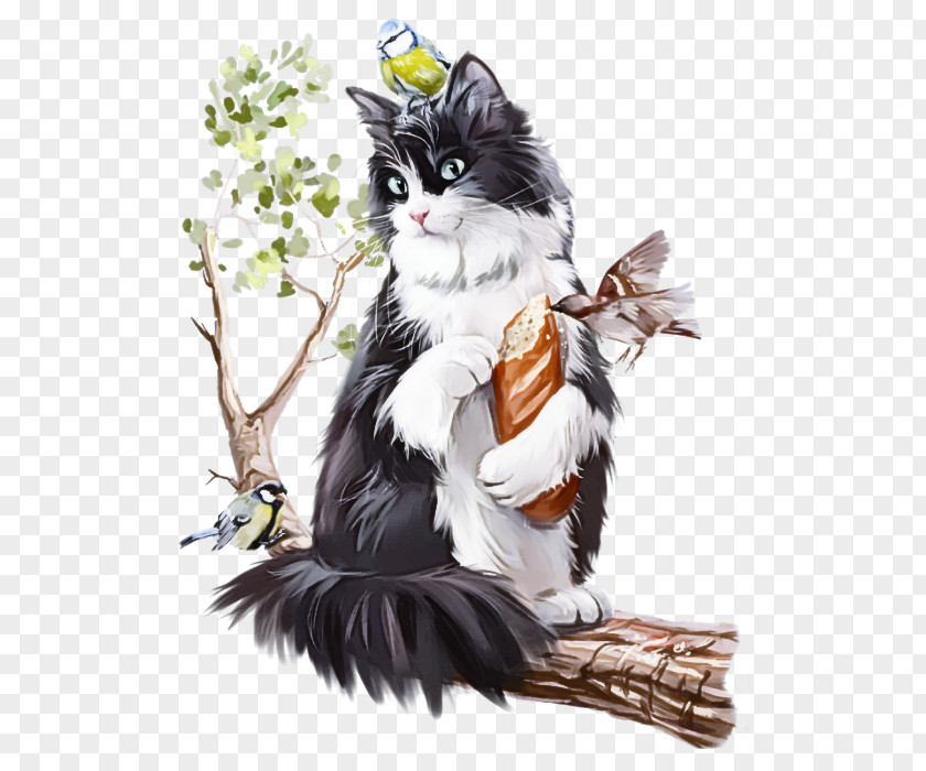 Cat Small To Medium-sized Cats Whiskers Norwegian Forest Black PNG