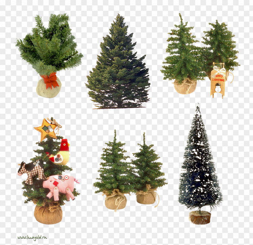 Christmas Tree Ornament New Year Spruce Clip Art PNG