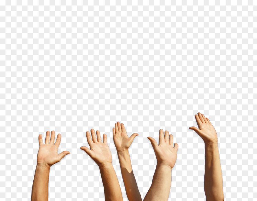 Hand Holding Arm Finger Thumb Roof PNG